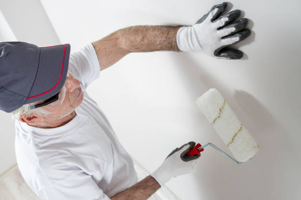 Best Asbestos and Lead Testing During Mold Inspection  in Gold River, CA