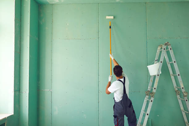 Best Emergency Mold Remediation  in Gold River, CA