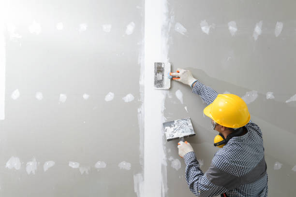 Professional Mold Removal in Gold River, CA