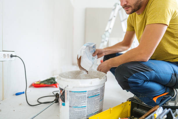 Best Post-Construction Mold Inspection  in Gold River, CA
