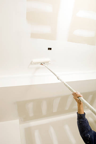 Best Basement Mold Removal  in Gold River, CA