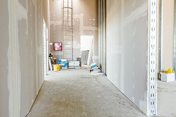 Best Biohazard Mold Removal  in Gold River, CA
